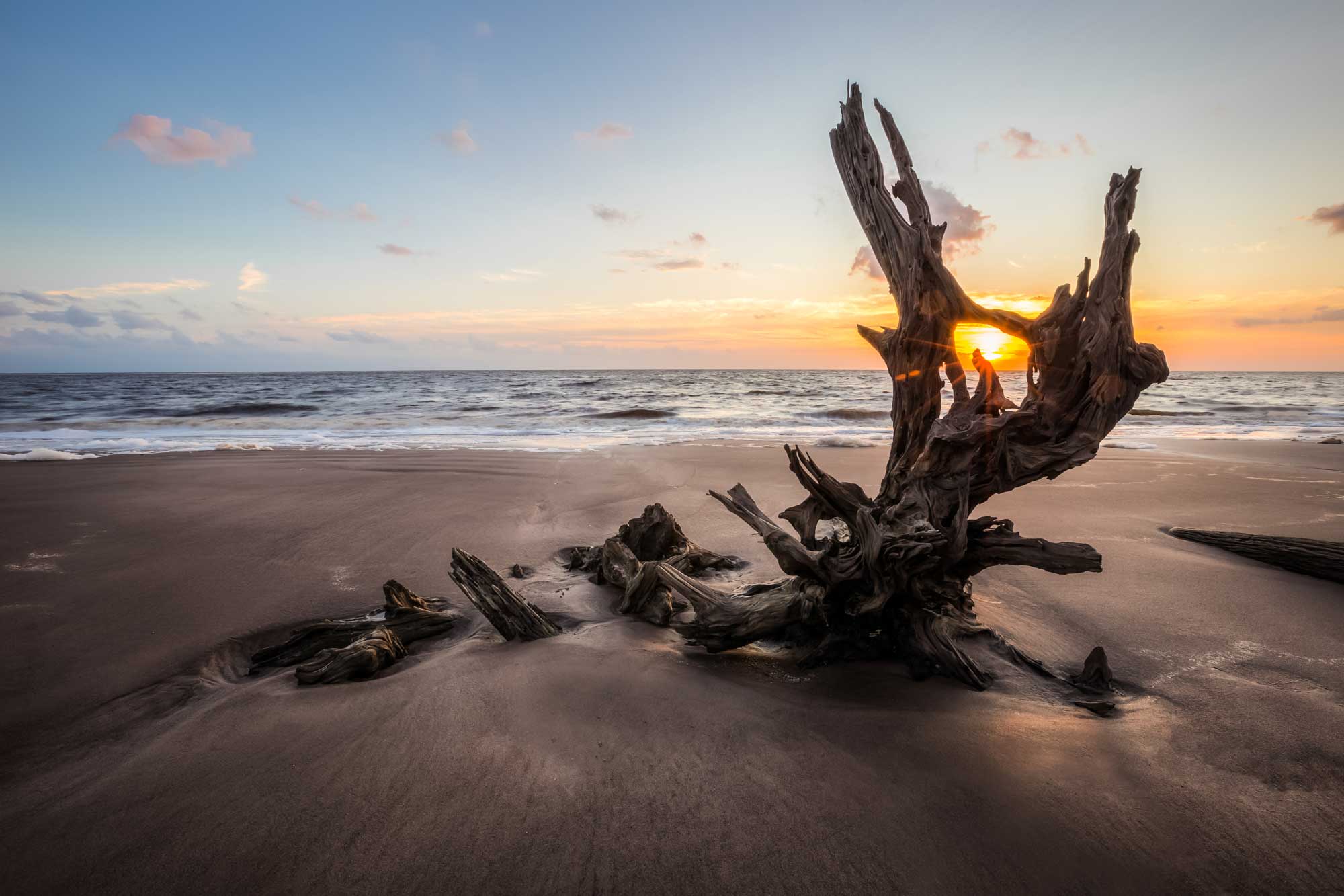 a log on shore